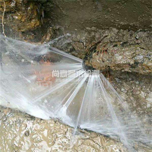 大悟消防管道漏水检测